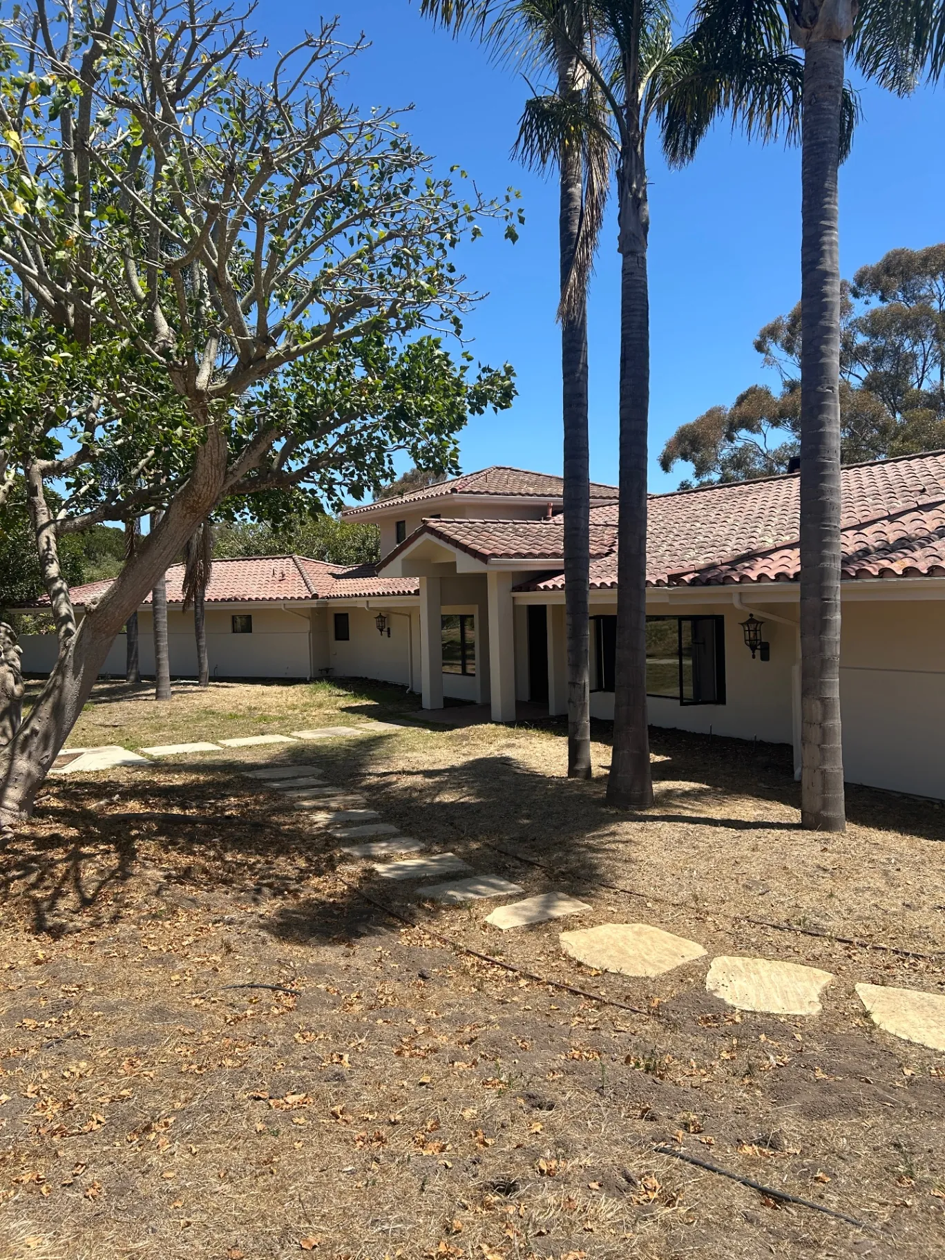 Side elevation of estate exterior with palm trees