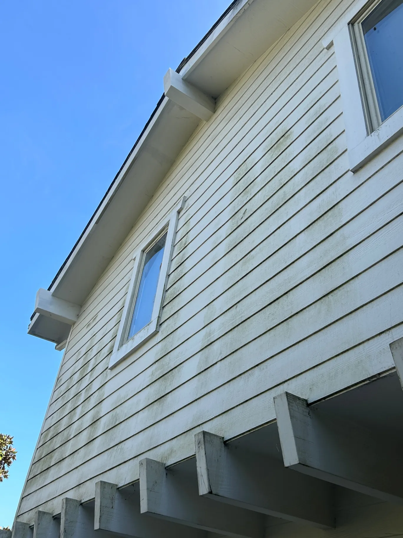 Before — weathered siding with mildew and chalking